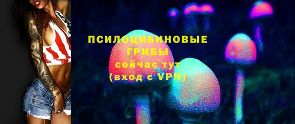 прущая мука Богородск
