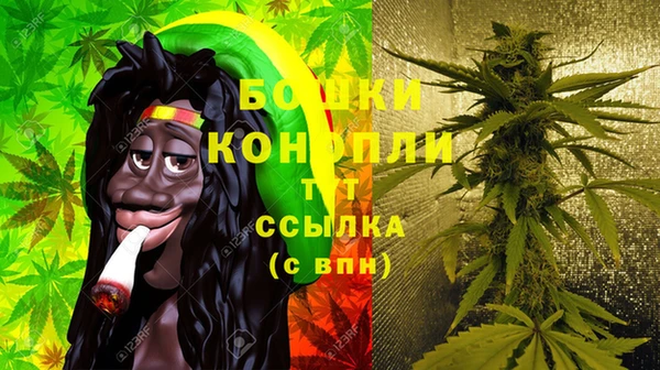 2c-b Белокуриха