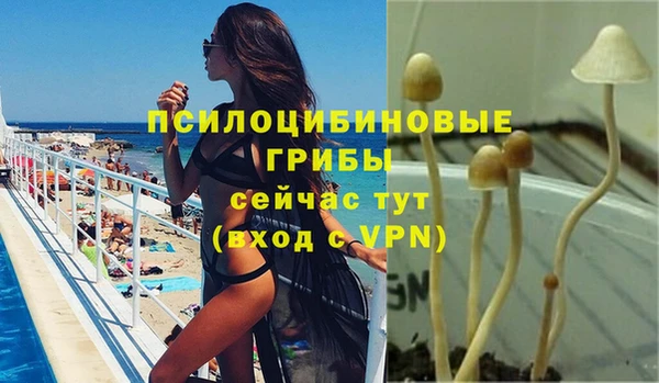 мяу мяу мука Богородицк